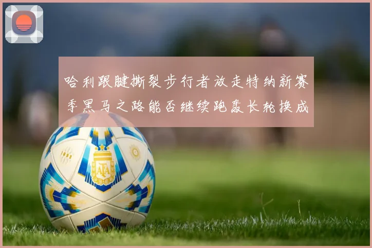 哈利跟腱撕裂步行者放走特纳新赛季黑马之路能否继续跑轰长轮换成关键