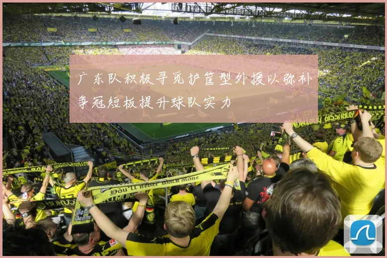 广东队积极寻觅护筐型外援以弥补争冠短板提升球队实力