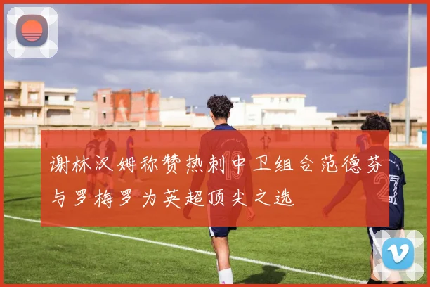 谢林汉姆称赞热刺中卫组合范德芬与罗梅罗为英超顶尖之选