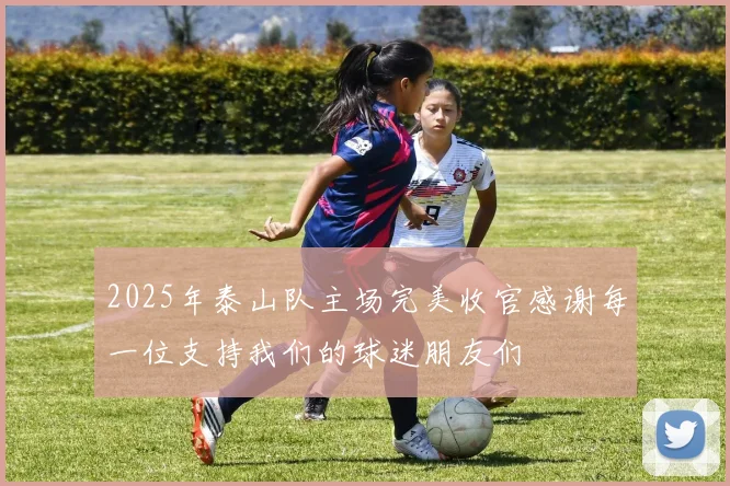 2025年泰山队主场完美收官感谢每一位支持我们的球迷朋友们